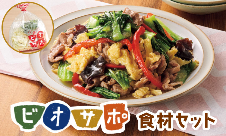 ビオサポ食材セット